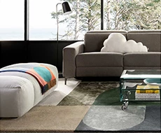 Feat_Slides_Rugs_env